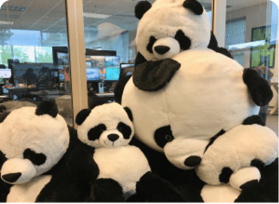 群熊猫